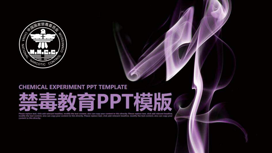 紫色时尚个性禁毒教育工作计划汇报总结PPT模板