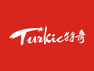 Turkicic特奇:简约大气的logo设计