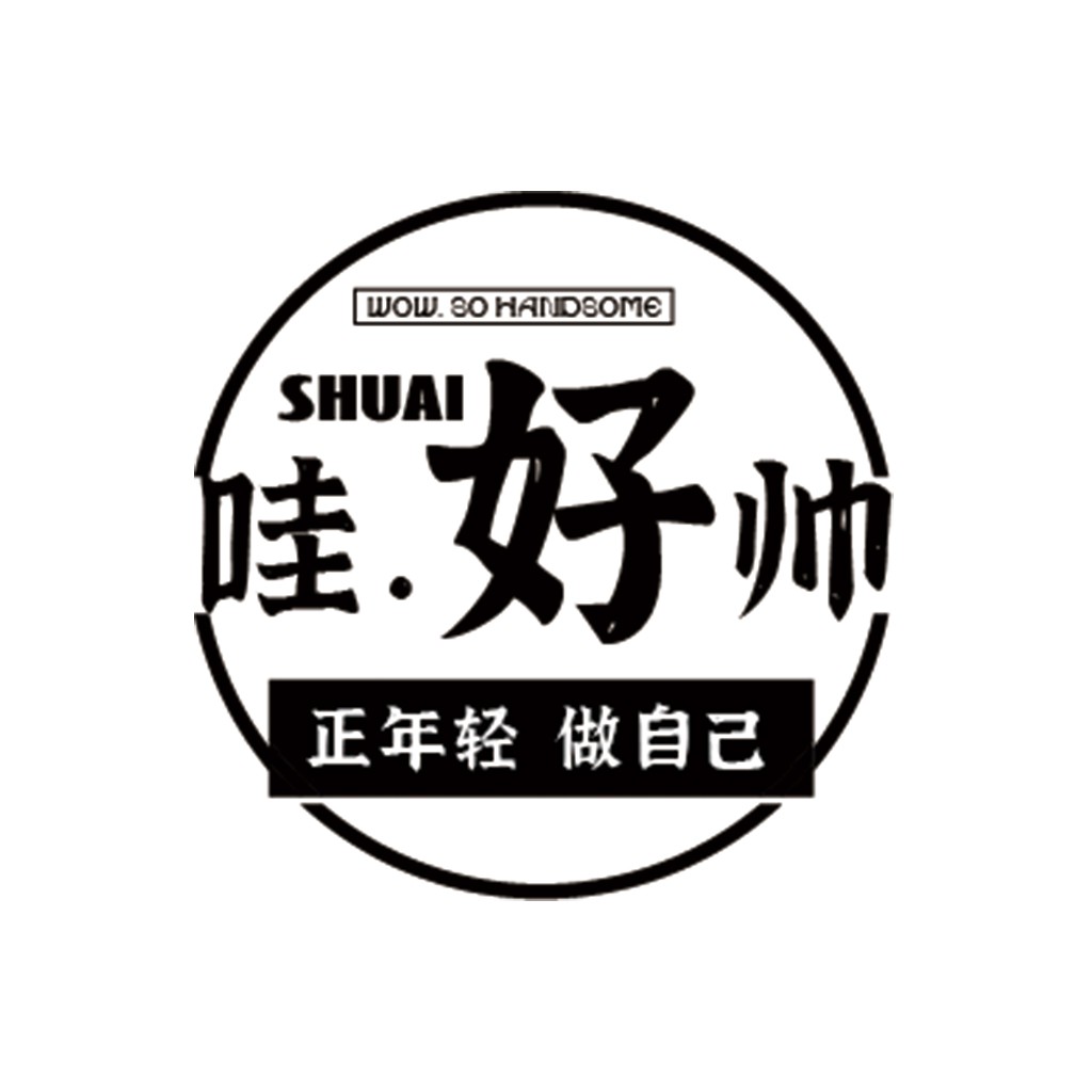 酷炫简约风格的中文logo设计