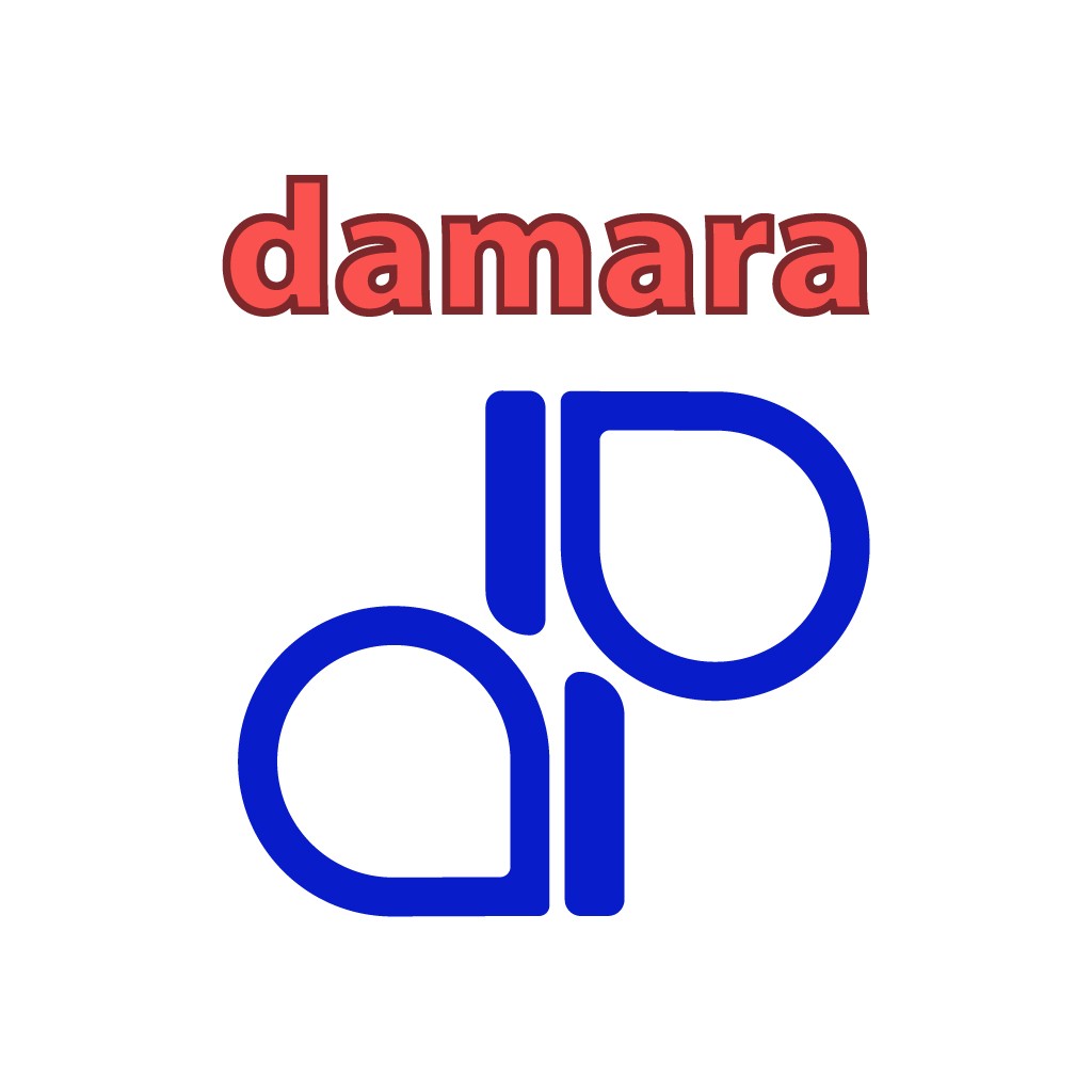 Damara Logo设计:简洁现代标识