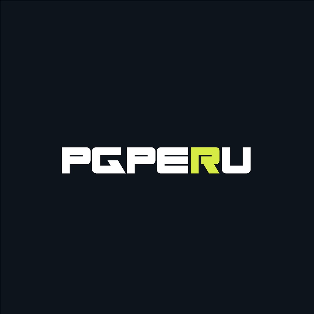 简洁现代的PGPERUU标志设计