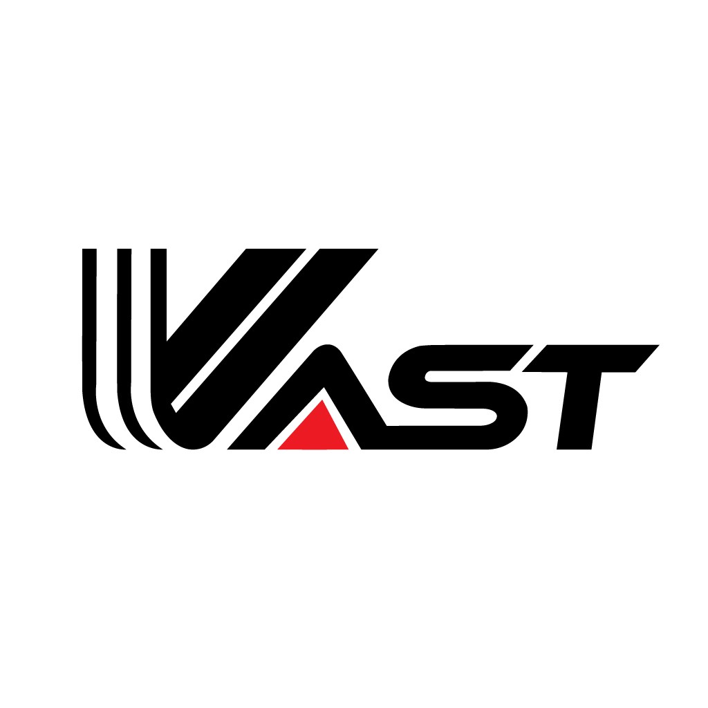 VAST logo设计：现代简洁企业标识