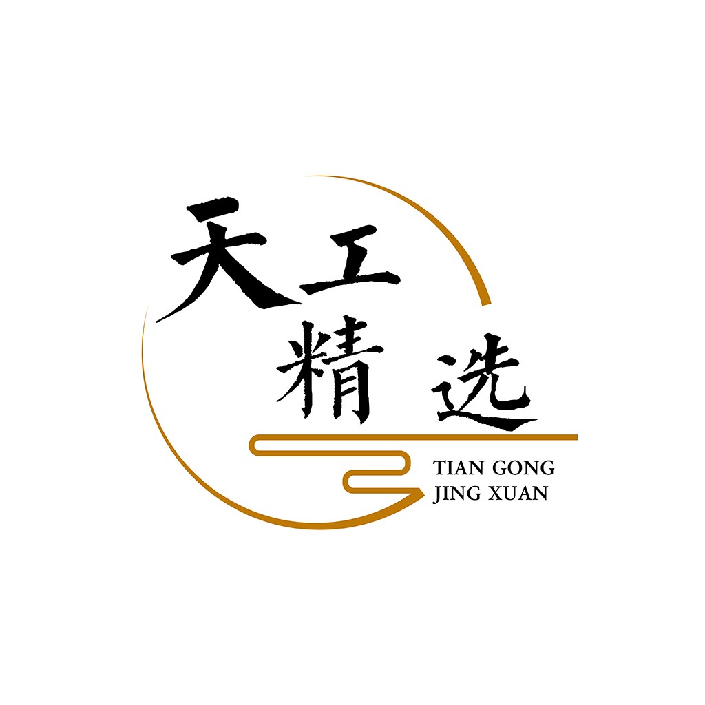 天工精选logo设计