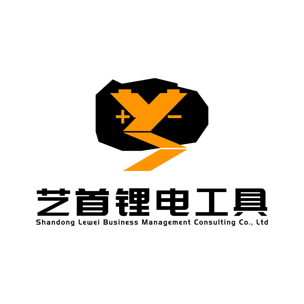 专业设计的山东乐威商业管理咨询有限公司logo