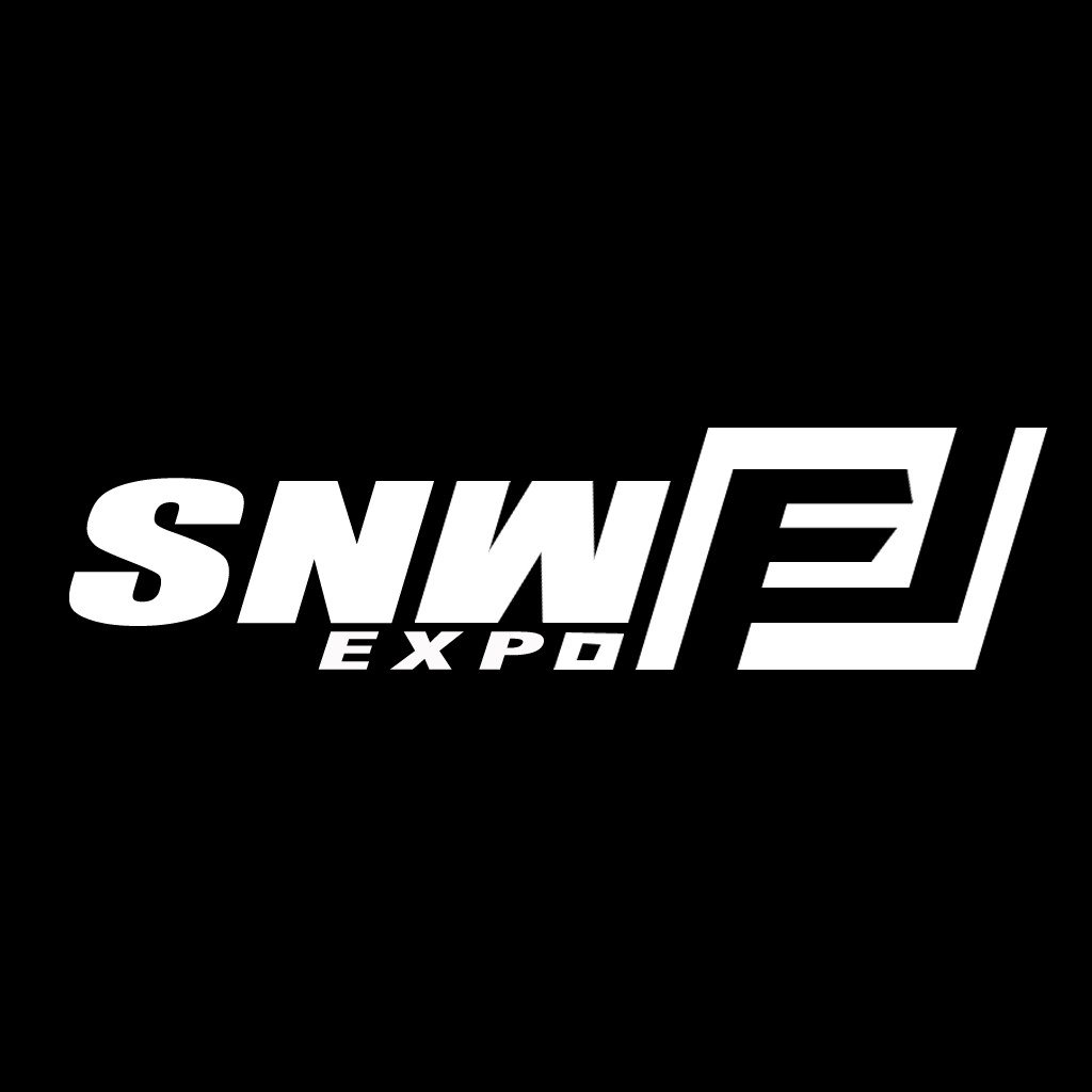 简约现代SNWEXPO标志设计