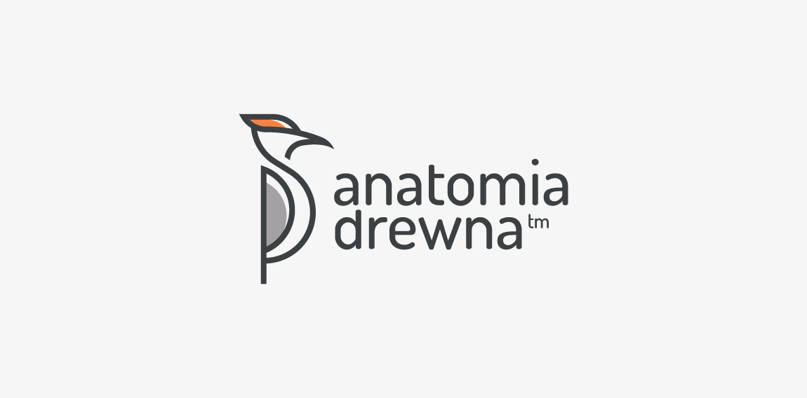 简约鸟形logo设计