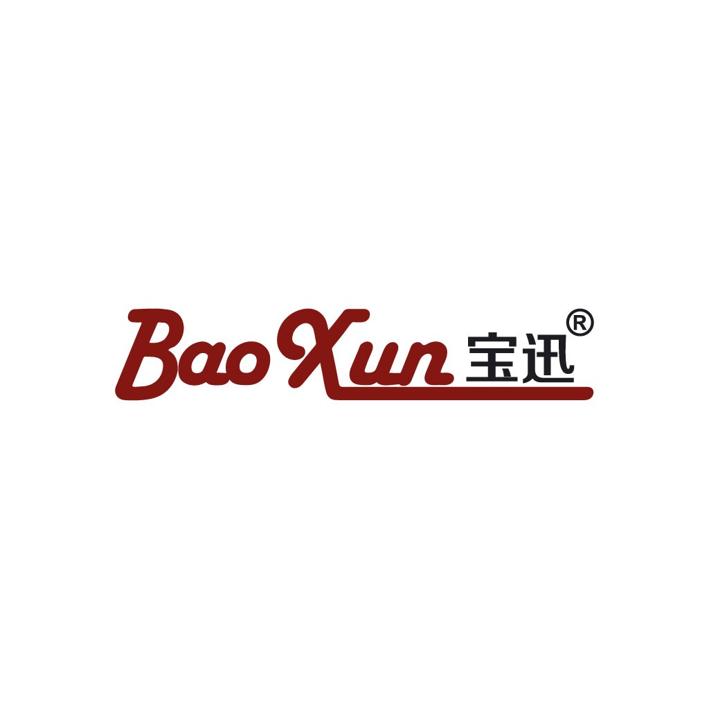 BaoXun Logo设计:简约现代企业标识