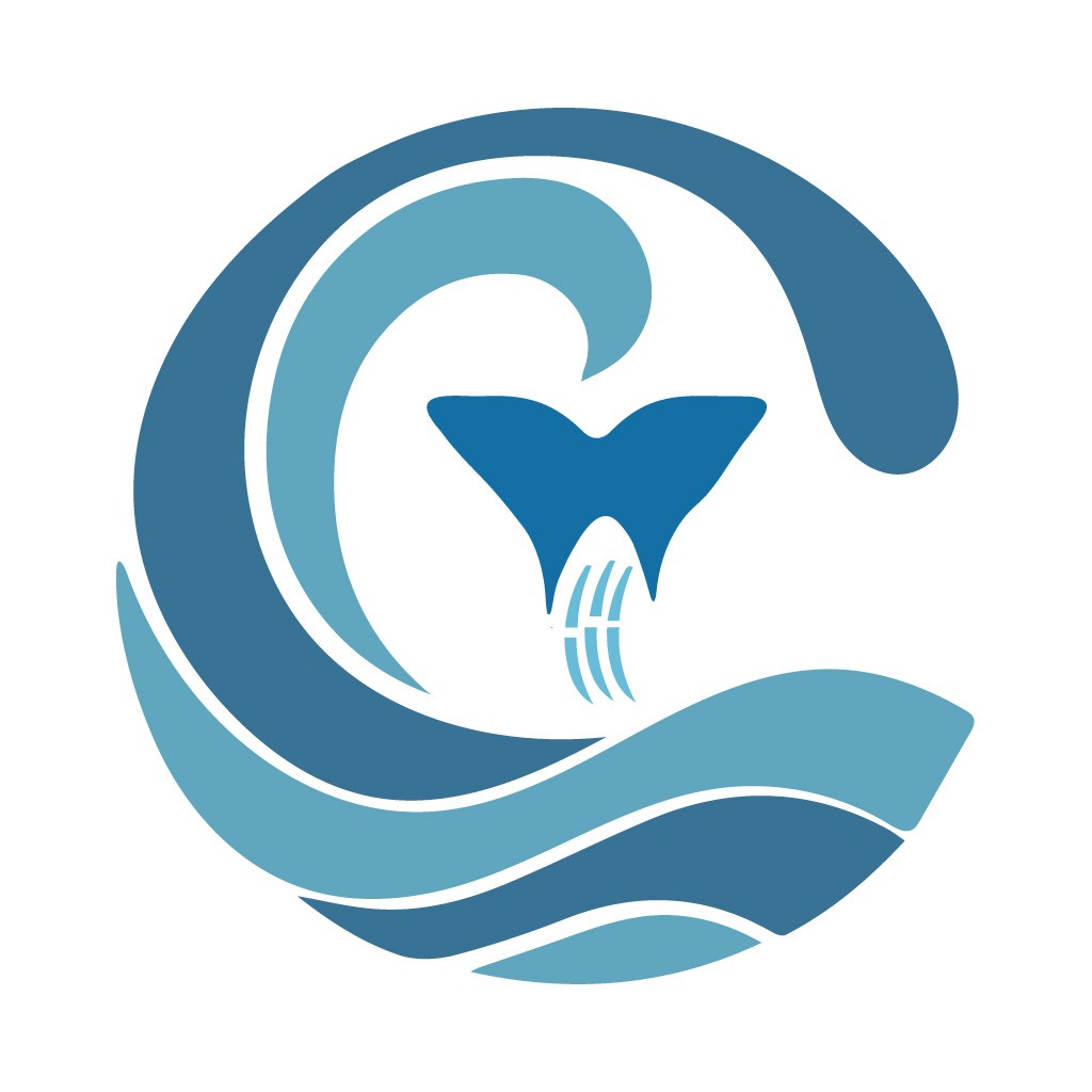 海洋元素的简洁logo设计