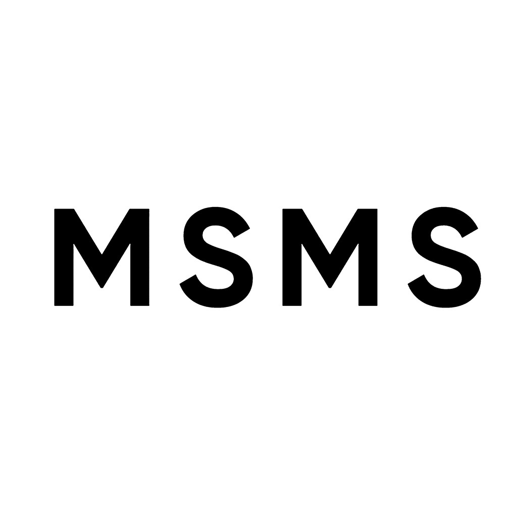 简洁现代风格MSMSMS logo设计