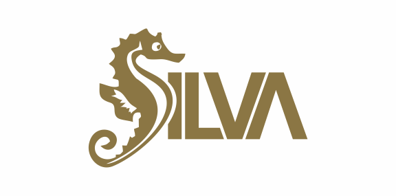 海马logo设计：简洁优雅的海洋主题标识