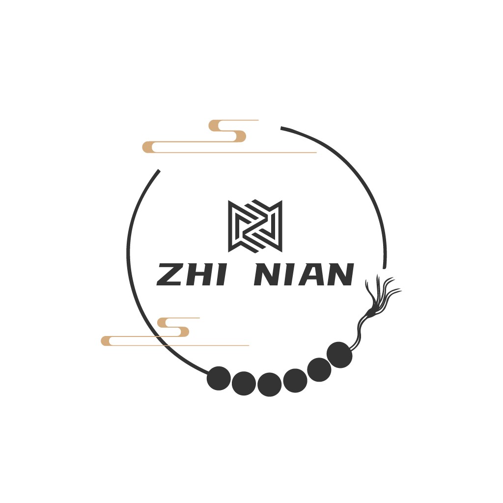 简约现代风格的ZHI NIANAN logo设计