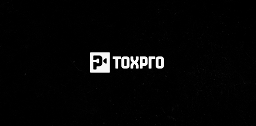 简约现代风logo设计:托克托
