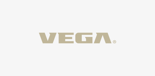 VEGA logo设计：简约现代企业标识