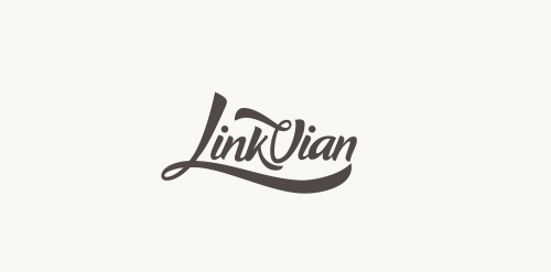 LinkVian logo设计:现代简约风格