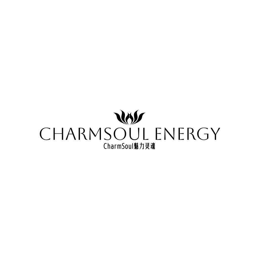 CharmSoul魅力灵魂logo设计