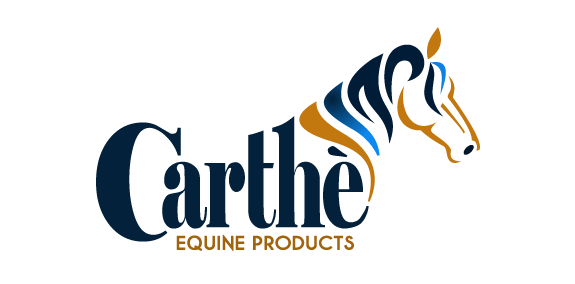 马头图案的Carthè logo设计