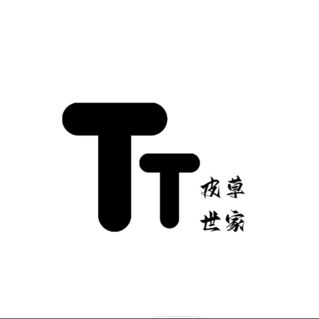简约风格T字母logo设计