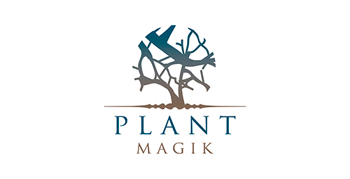 植物魔法logo设计