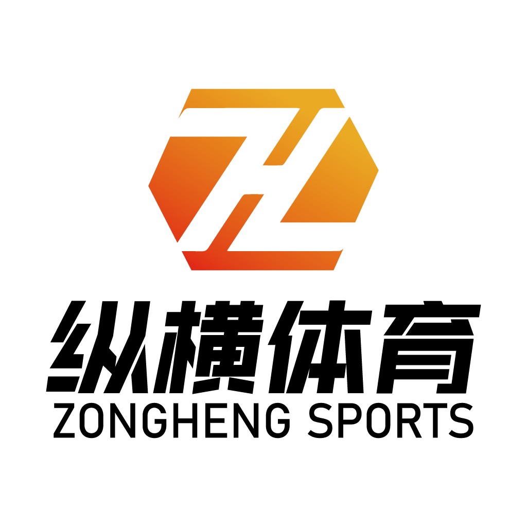 ZONGHENG体育logo设计