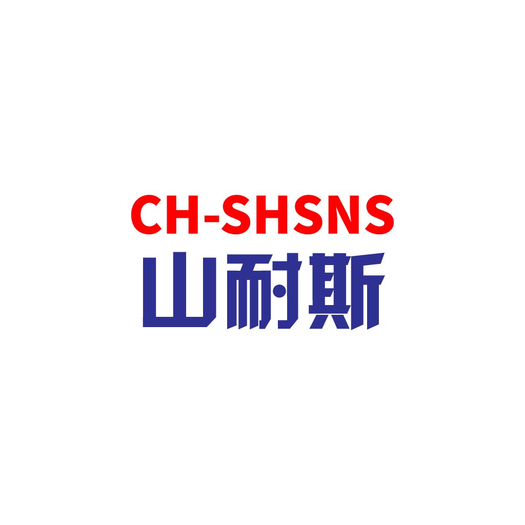 CH-SHSNSNSNS山耐耐耐斯斯logo设计