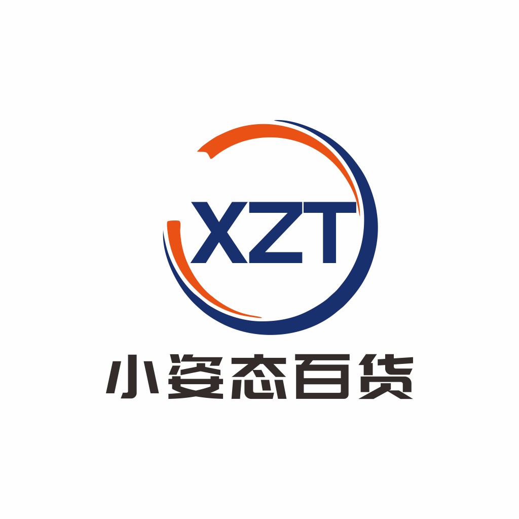 XZT Logo设计：简洁现代企业标识