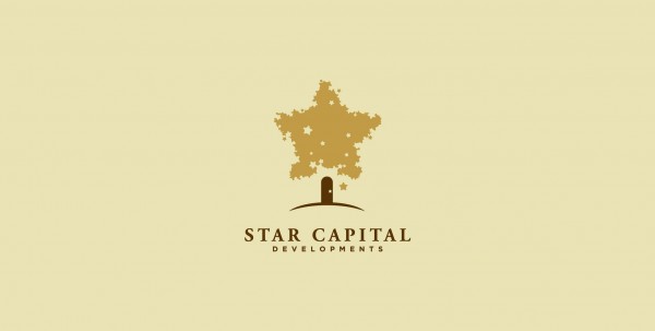 星形资本logo设计