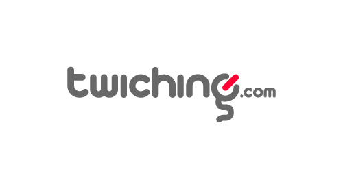 简约现代的twiching.com logo设计