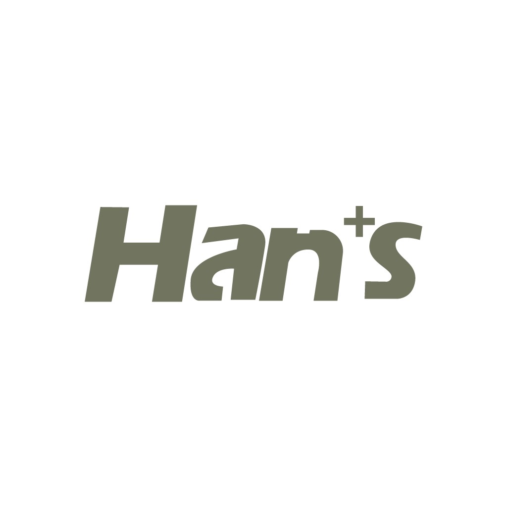 简洁现代风格的Hans's logo设计