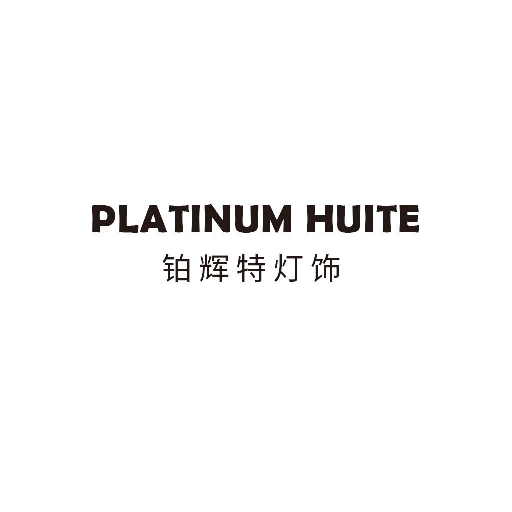 简约现代风格的PLATINUMUM HUITE LOGO设计