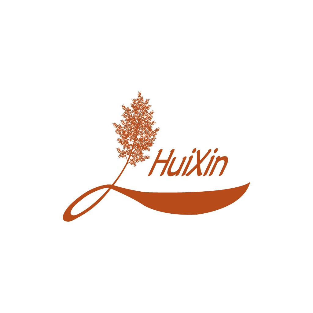 自然元素与现代美学结合的HuiXin Logo设计