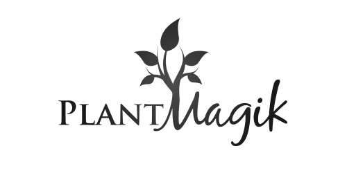 简约植物主题logo设计