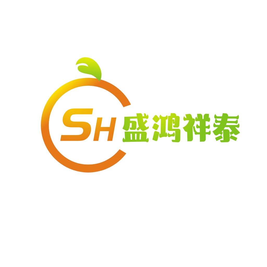 橙色圆圈与字母SH结合的简约logo设计