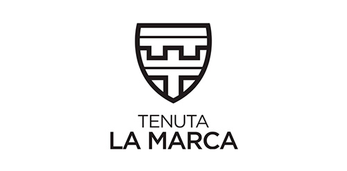 简约盾形徽章logo设计