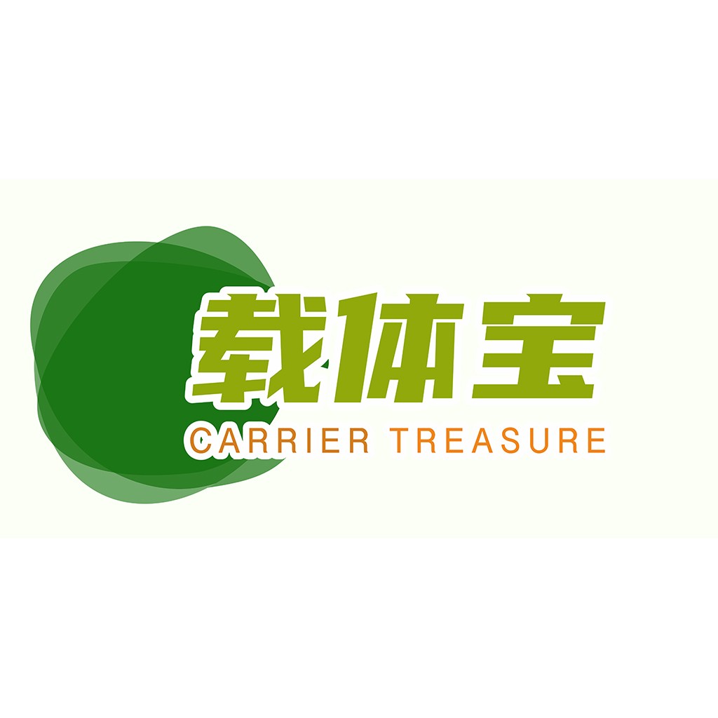 绿色简约风格的载体宝藏logo设计