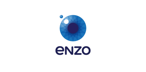 Enzo Logo设计:简洁现代视觉标识
