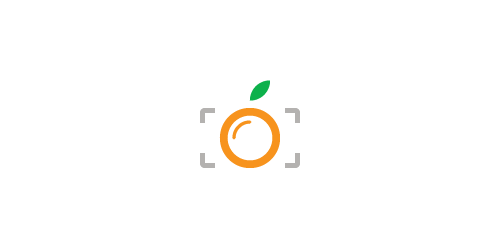 简约橙色相机logo设计