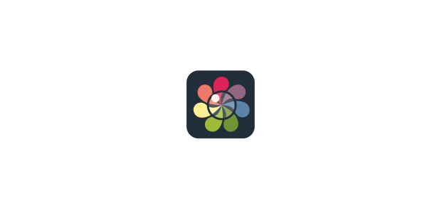色彩斑斓的花形logo设计