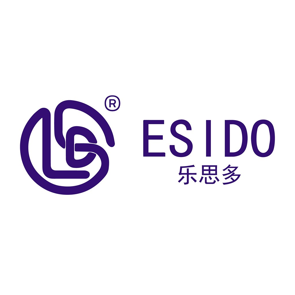 ESIDO logo设计：现代简洁标志