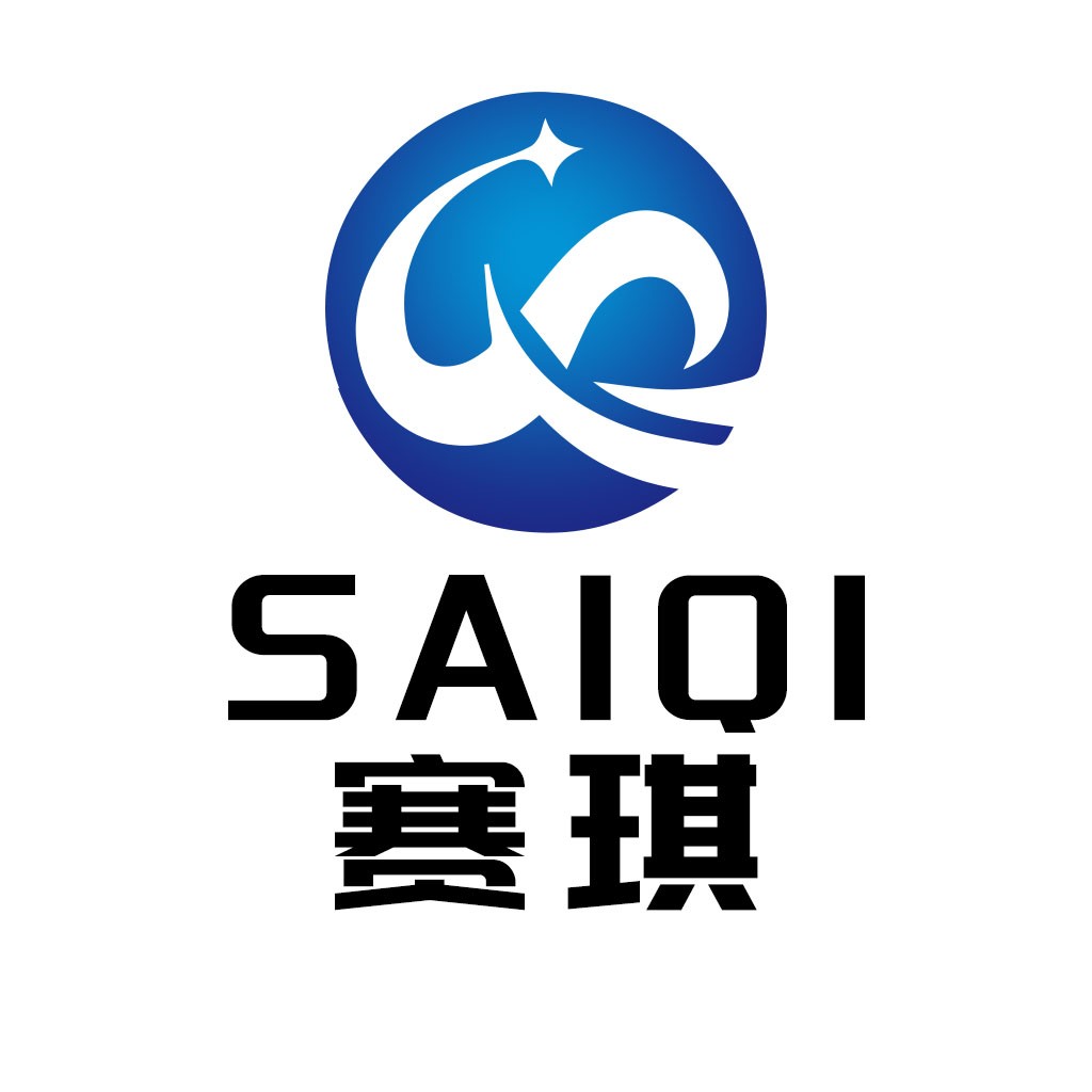 赛琪logo设计:简洁现代企业标识