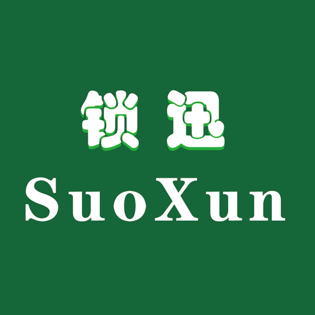 锁迅logo设计:简洁现代企业形象