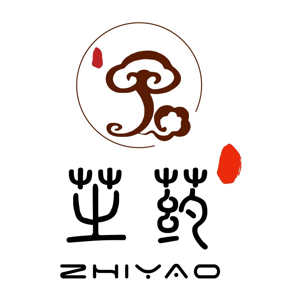 Zhiyao logo设计:传统与现代的完美结合
