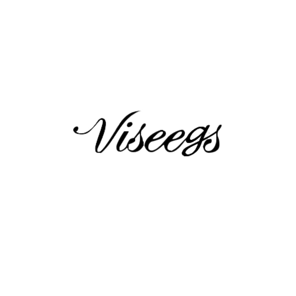 Viseeegs logo设计:优雅简约的标志