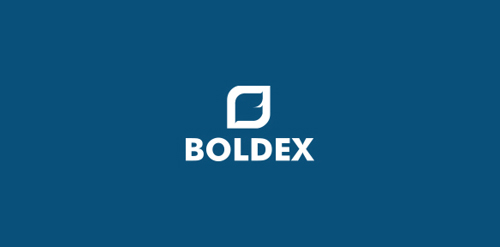 简洁现代的Boldex logo设计