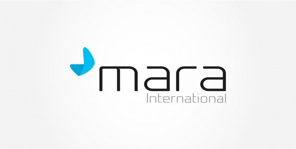 简洁现代的蓝色马形logo设计