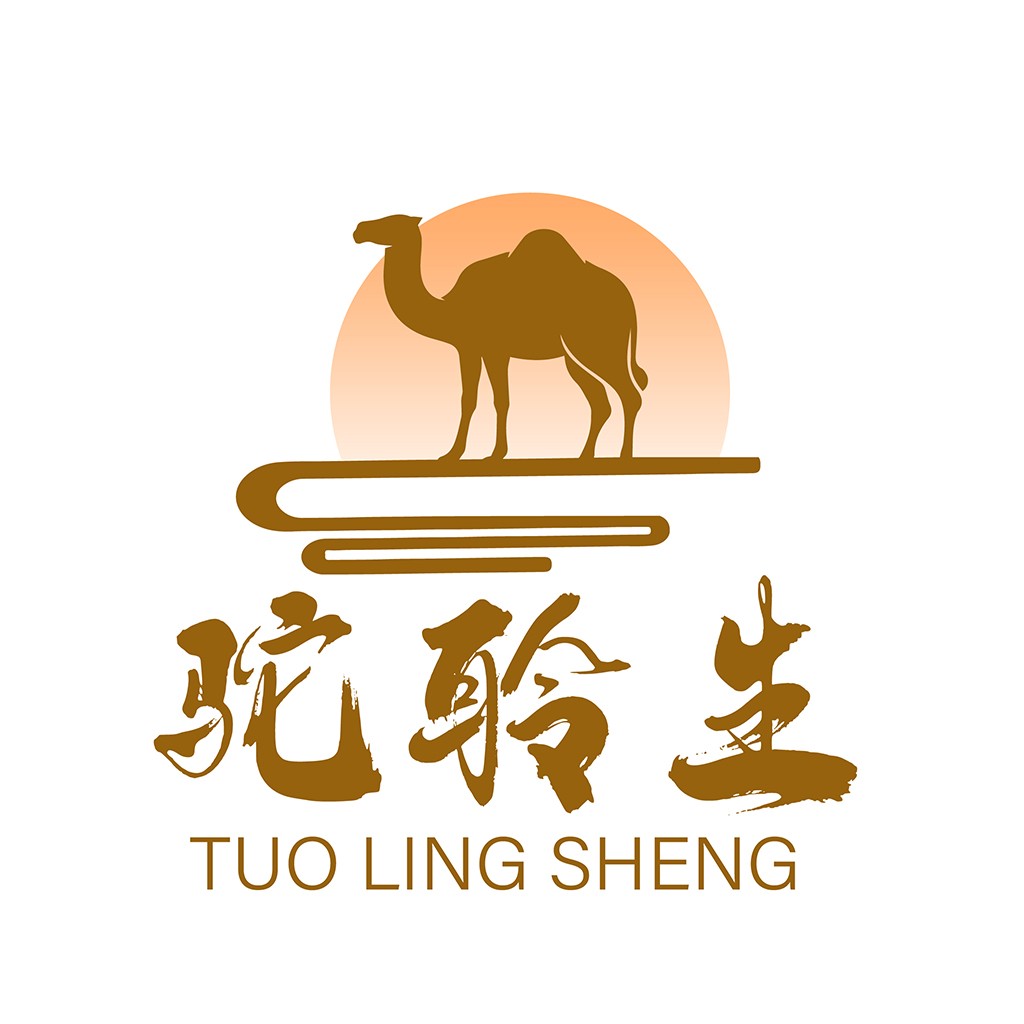 骆驼日落logo设计