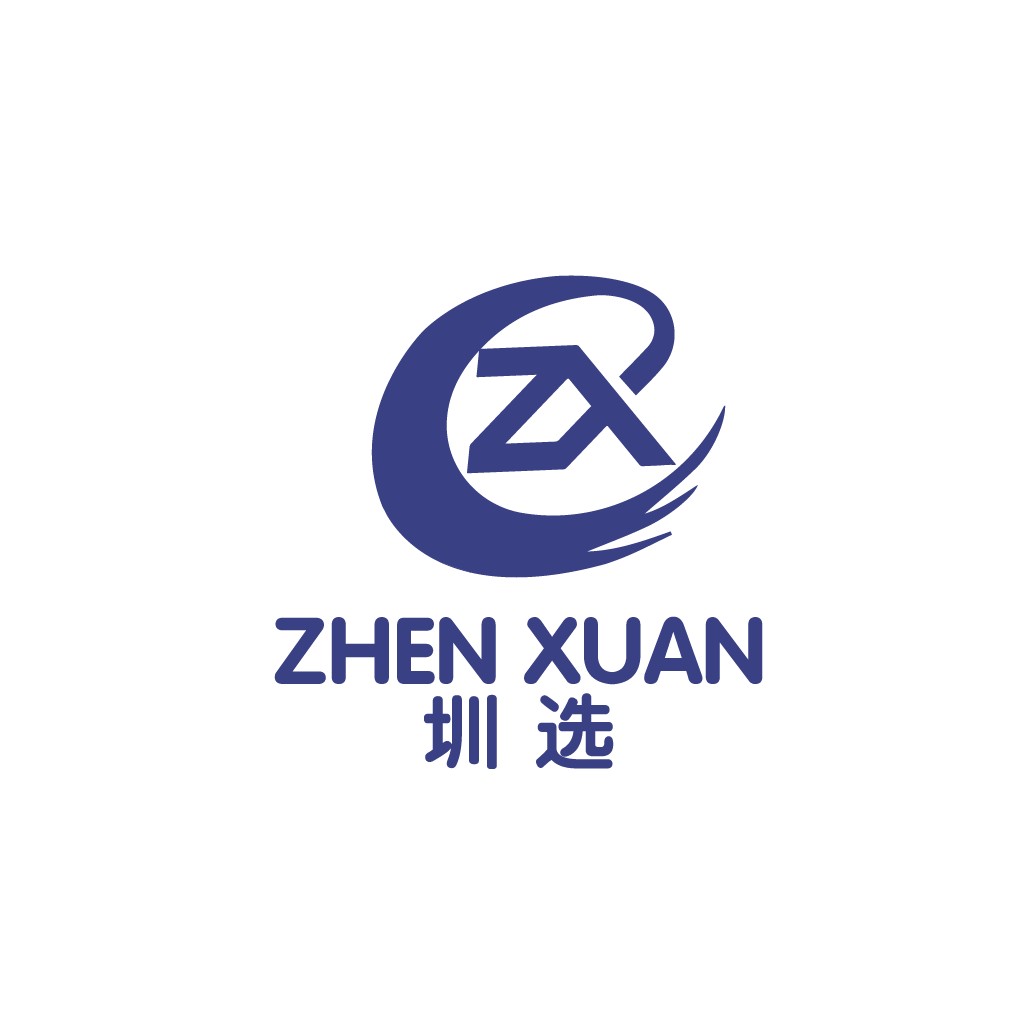 简洁现代的ZHEN XUAN LOGO设计