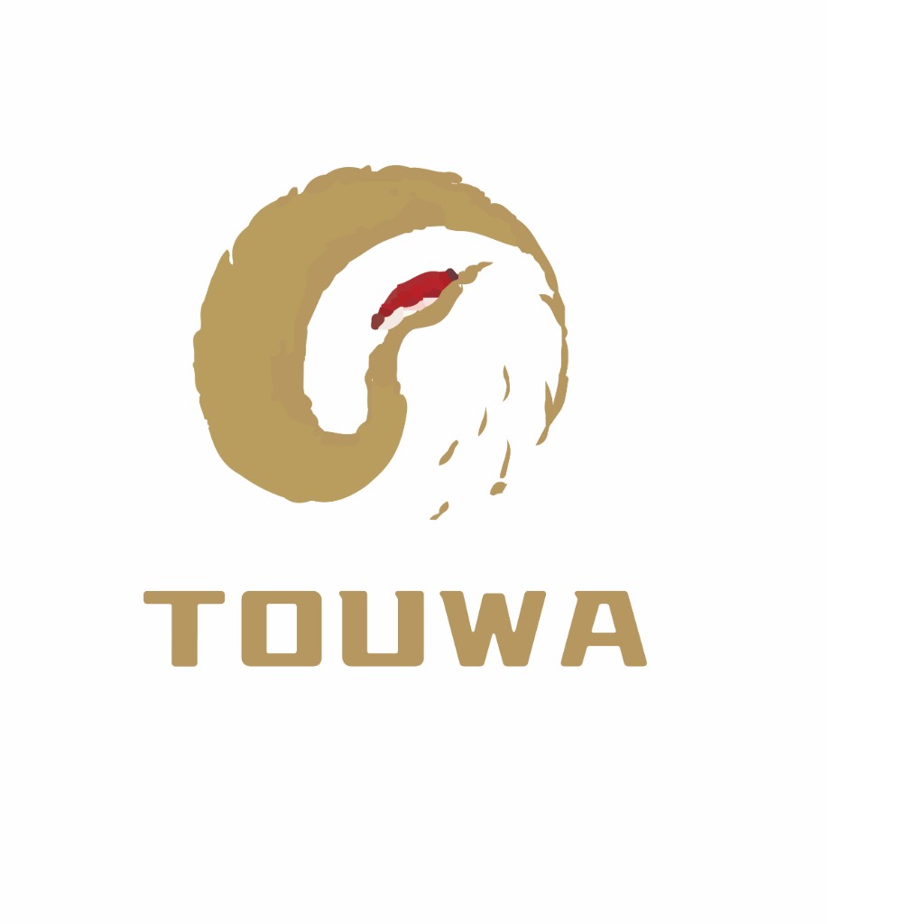 TOUWA logo设计:简洁大气的现代品牌标识