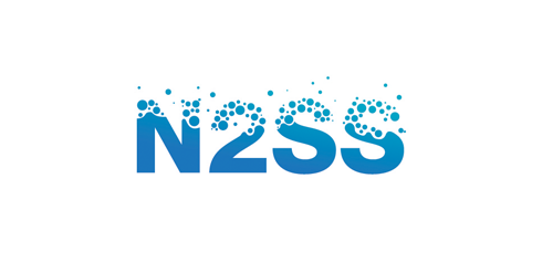 N2SSS logo设计:科技感与简洁性结合
