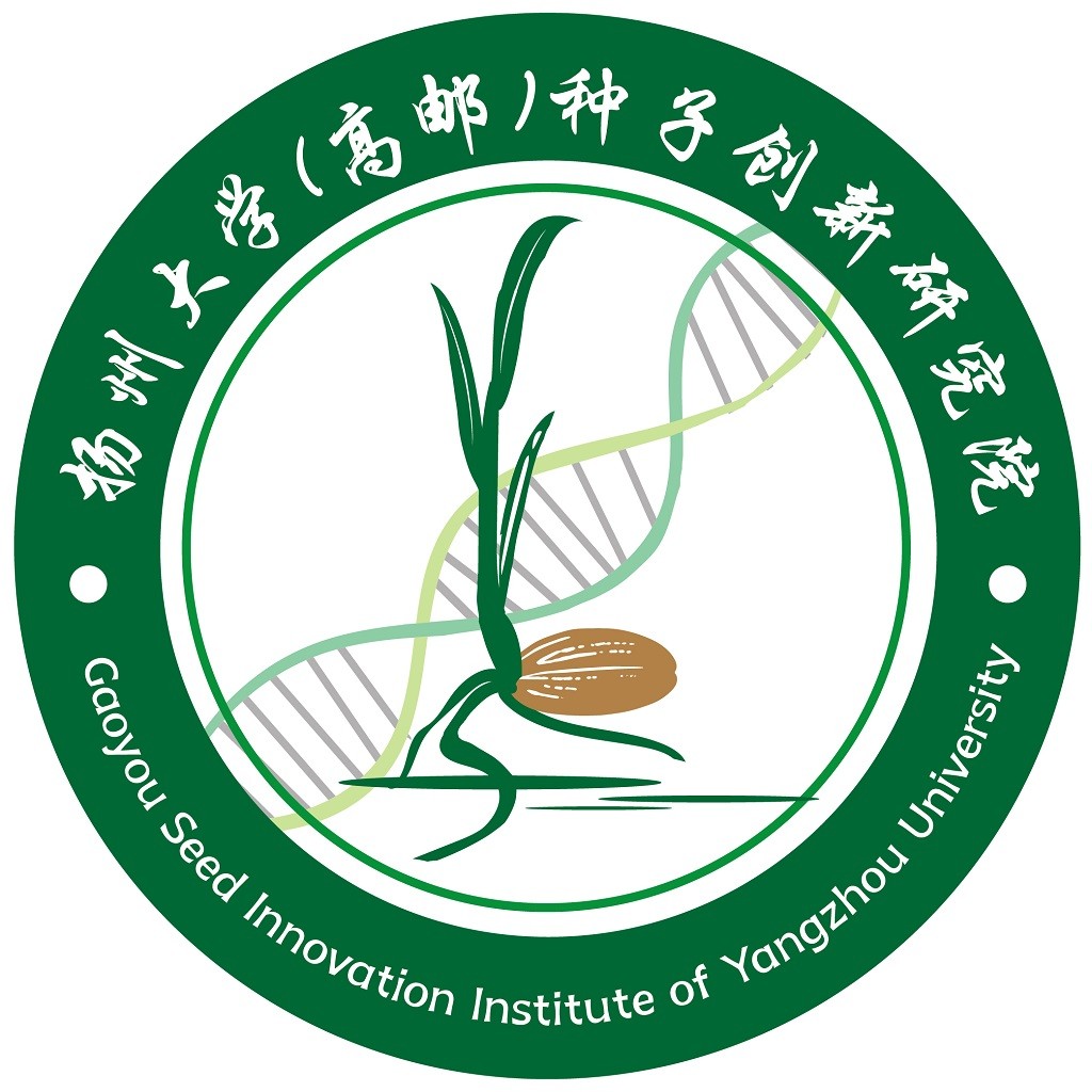 种子创新研究院logo设计