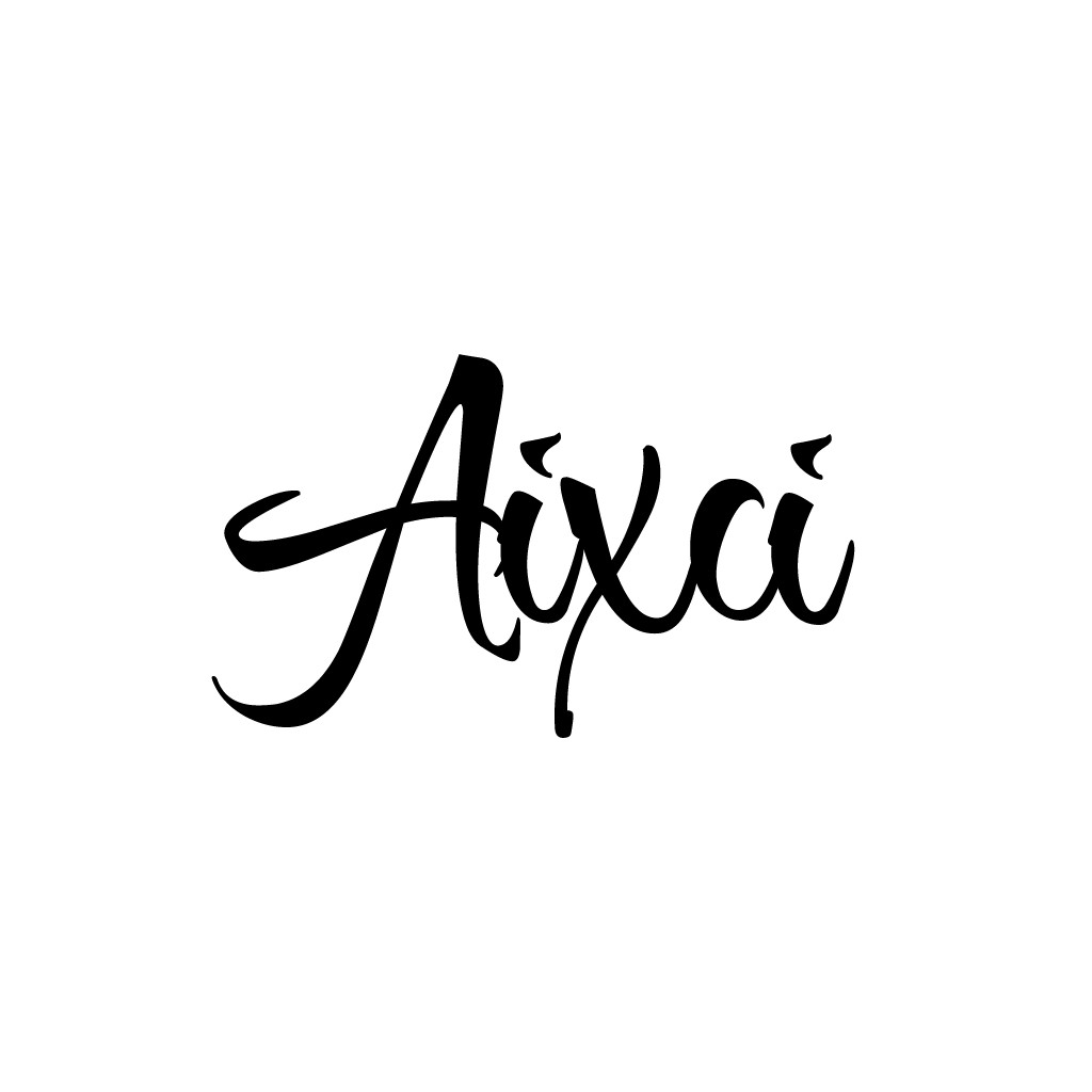 Aixcai Logo设计:现代书法风格
